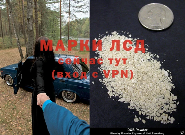 стафф Осинники